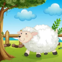Grazing Galore